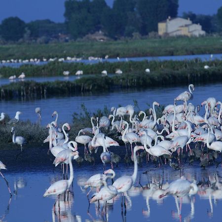 Pensjonat Corte Spina Lido di Spina Zewnętrze zdjęcie