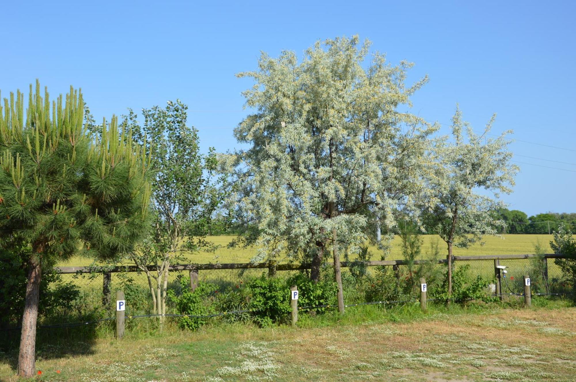 Pensjonat Corte Spina Lido di Spina Zewnętrze zdjęcie